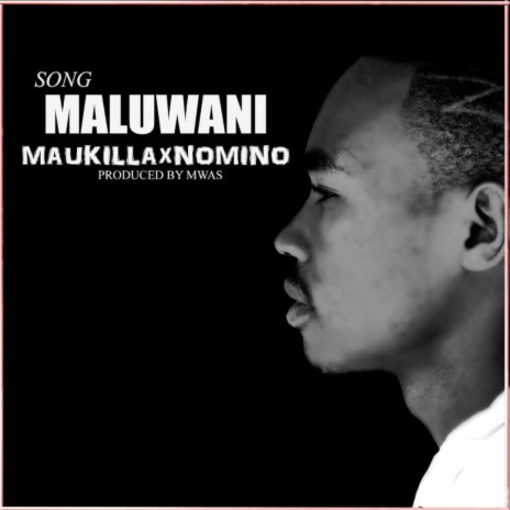 Maluwani ft. NOMINO | Boomplay Music