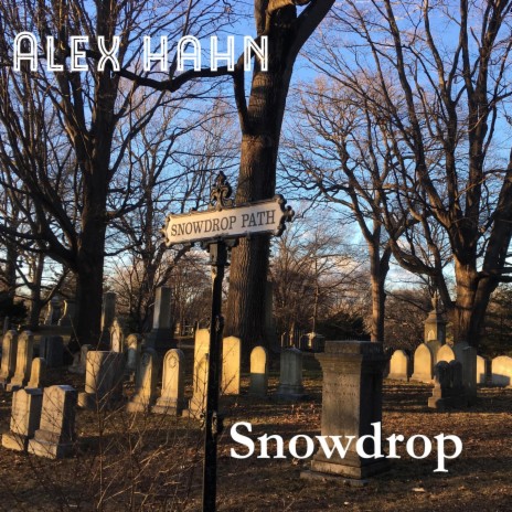 Snowdrop | Boomplay Music