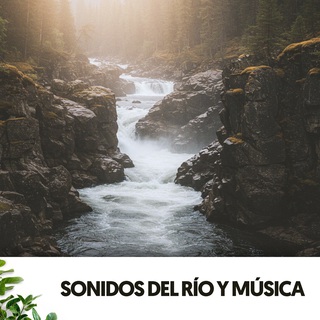 Sonidos del río y música: Melodías Acuáticas