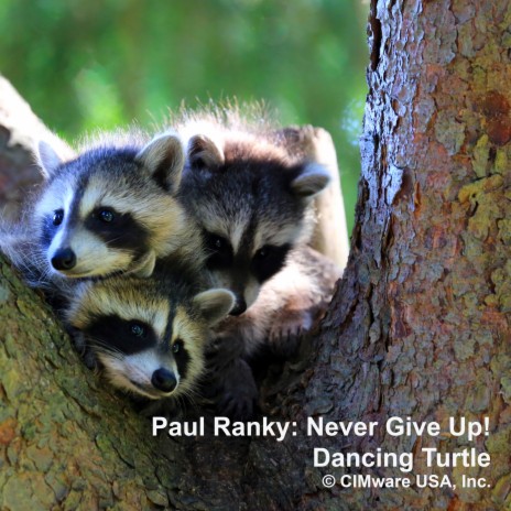 Never Give Up! ft. Paul Ranky | Boomplay Music
