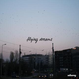 flying dreams