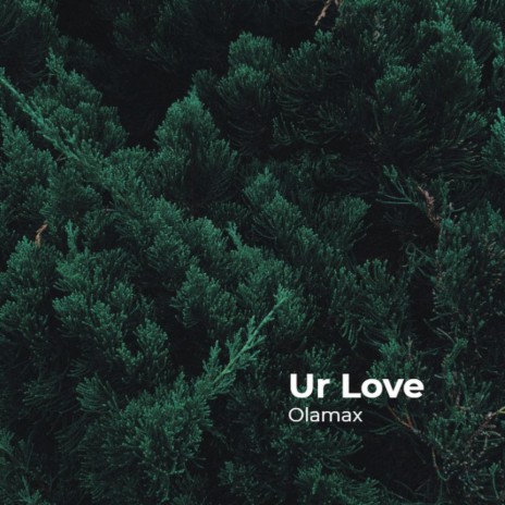 Ur Love | Boomplay Music