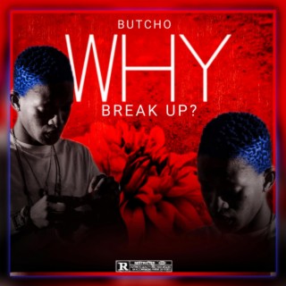 WHY BREAK UP?