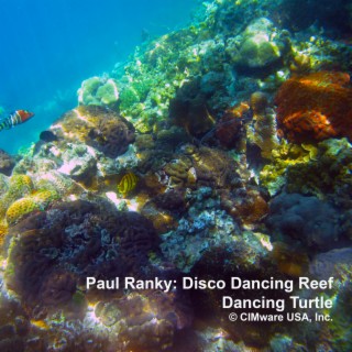 Disco Dancing Reef