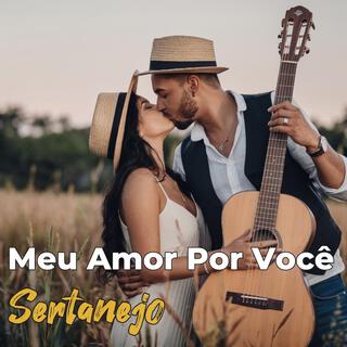 Meu Amor Por Você