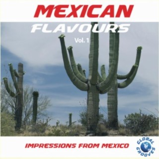 Mexican Flavours Vol. 1