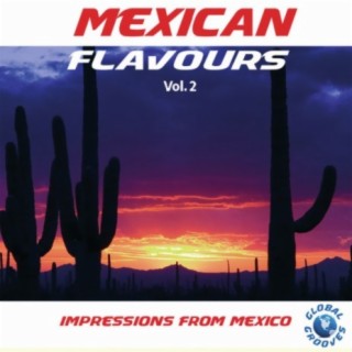 Mexican Flavours Vol. 2