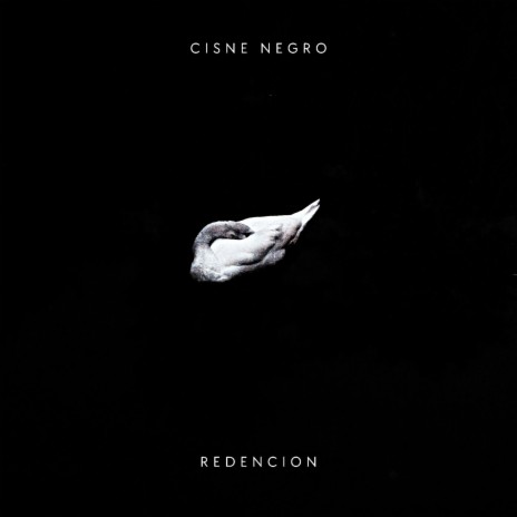 El Cisne Negro | Boomplay Music