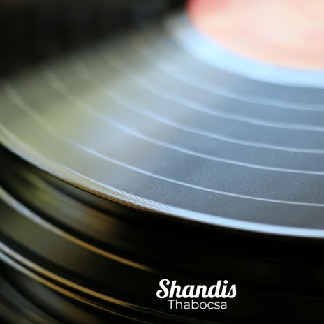 Shandis | Boomplay Music
