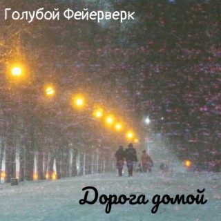 Дорога домой