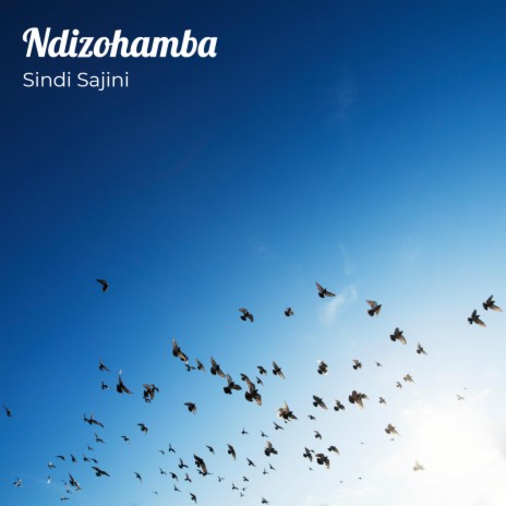 Ndizohamba | Boomplay Music