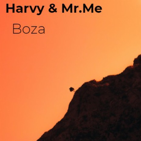 Boza ft. Mr. Me | Boomplay Music