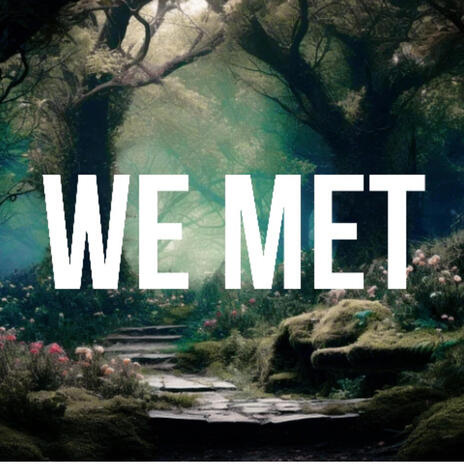 We Met | Boomplay Music