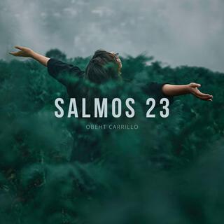 SALMOS 23 lyrics | Boomplay Music