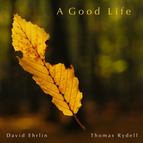 A Good Life ft. David Ehrlin