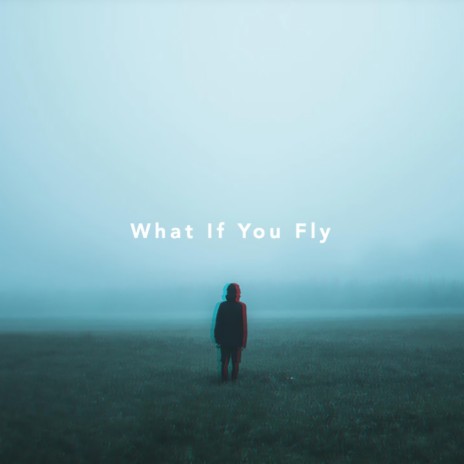 What If You Fly