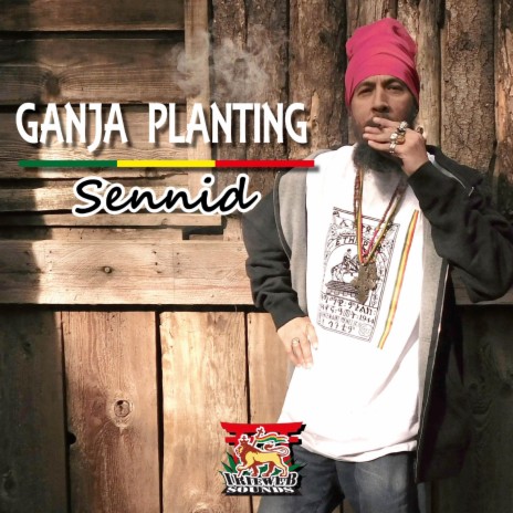 GANJA PLANTING ft. irieweb sounds | Boomplay Music