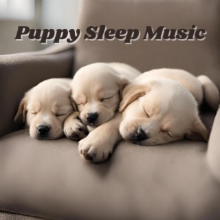 Puppy Sleep Music