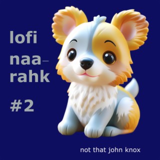 lofi naa-rahk #2