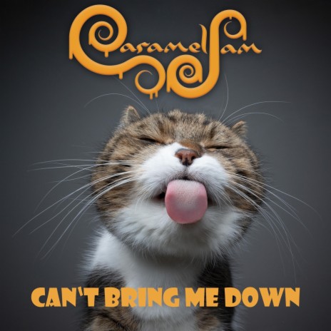 Can't Bring Me Down | Boomplay Music