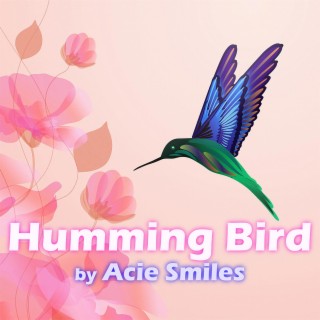 Humming Bird