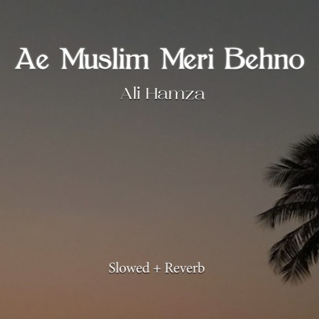 Ae Muslim Meri Behno Lofi | Boomplay Music