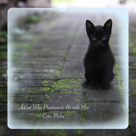 A Cat Who Promises to Be with You | Boomplay Music