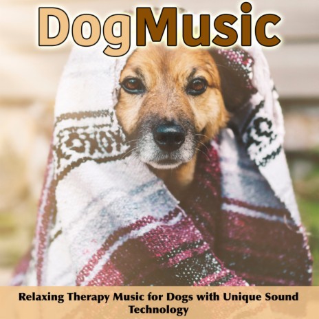 Classical Dog Music ft. Relax My Dog Music | Boomplay Music