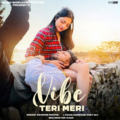 Vibe Teri Meri | Boomplay Music