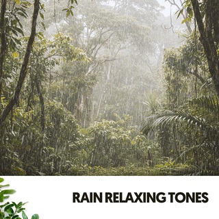 Relaxing Sound of Rain: Showers of Relaxation