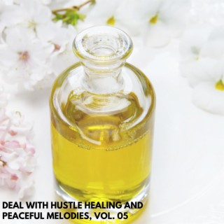 Deal with Hustle Healing and Peaceful Melodies, Vol. 05
