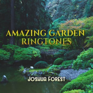 Amazing Garden Ringtones: Morning Birds, Calming Rain Sounds