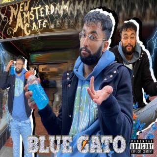 Blue Gato