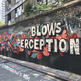 Blows for Perception lyrics | Boomplay Music