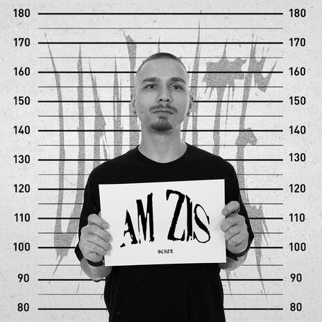 Am zis | Boomplay Music