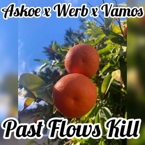 Past Flows Kill ft. Werb & Vamos | Boomplay Music
