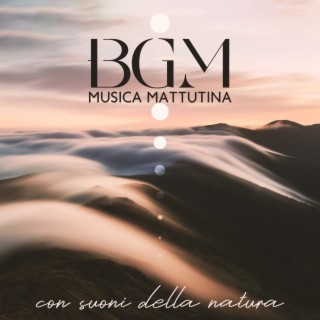 BGM Musica mattutina con suoni della natura: 1 ora di musica molto rilassante per alleviare lo stress