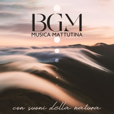 Primo amore | Boomplay Music
