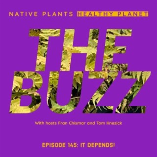The Buzz - It Depends