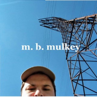 M.B. Mulkey
