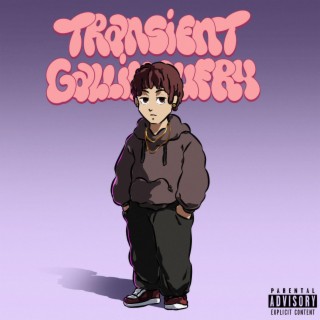 Transient Gallimaufry