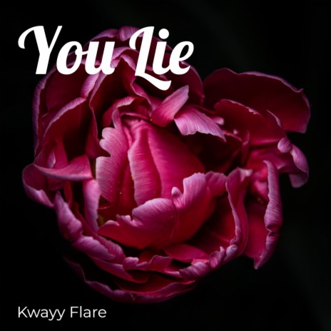 You Lie ft. Jay Clams Brandon | Boomplay Music