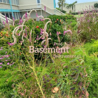 Basement (Instrumental)