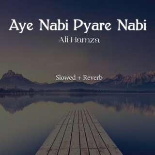 Aye Nabi Pyare Nabi Lofi