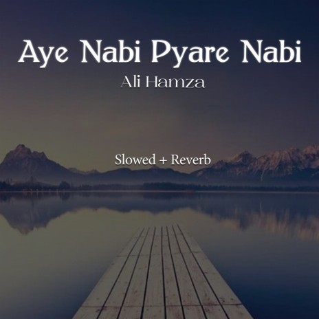 Aye Nabi Pyare Nabi Lofi | Boomplay Music
