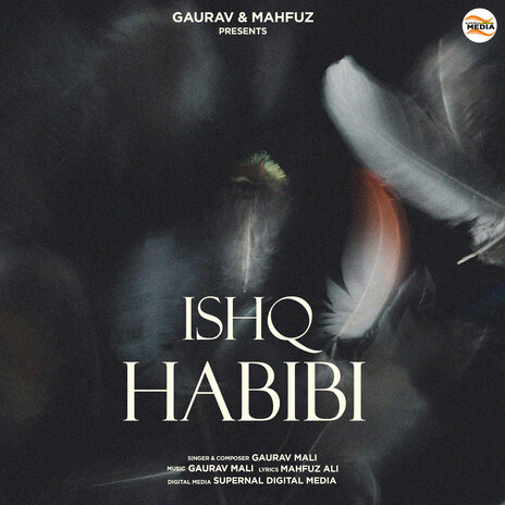 Ishq Habibi | Boomplay Music