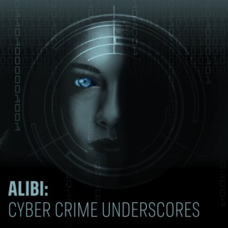 Cyber Crime Underscores