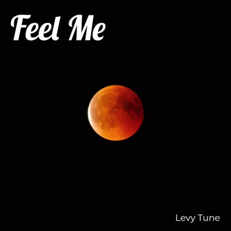 Feel Me ft. YZDCE Kingdom (Copyright Control) & Ikeyz Bonfaya Beats