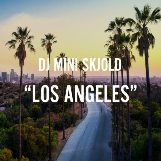 DJ Mini Skjold