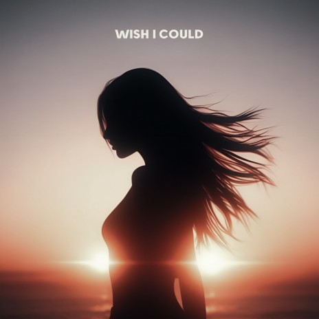 Wish I Could | Boomplay Music